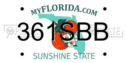 361SBB Florida License Plate