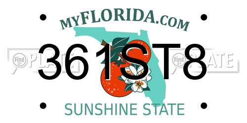 361ST8 Florida License Plate