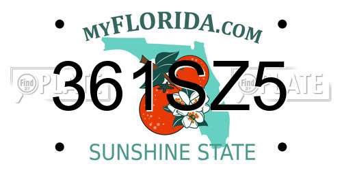 361SZ5 Florida License Plate