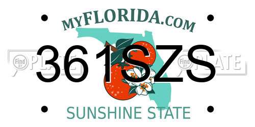 361SZS Florida License Plate