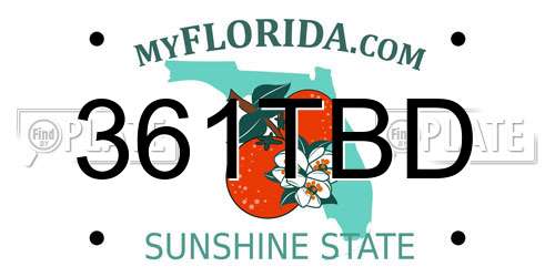 361TBD Florida License Plate