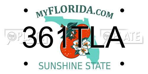 361TLA Florida License Plate