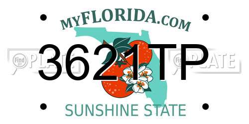 3621TP Florida License Plate