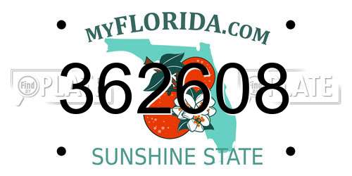362608 Florida License Plate