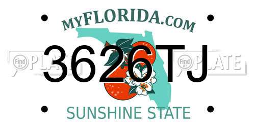 3626TJ Florida License Plate