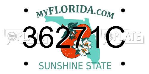 36271C Florida License Plate