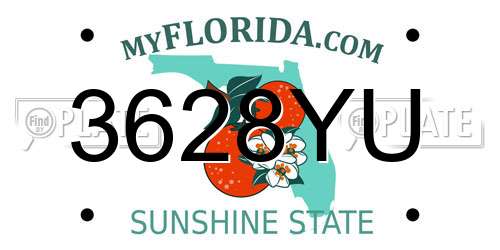 3628YU Florida License Plate