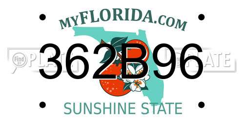 362B96 Florida License Plate