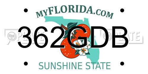 362GDB Florida License Plate