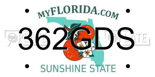 362GDS Florida License Plate