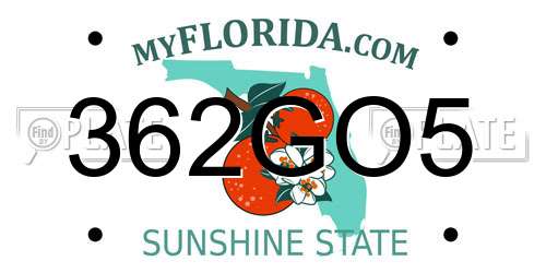 362GO5 Florida License Plate