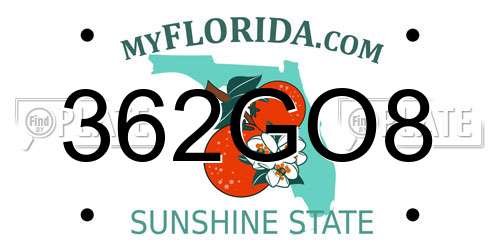 362GO8 Florida License Plate