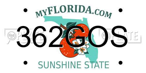 362GOS Florida License Plate