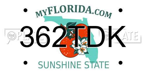 362TDK Florida License Plate