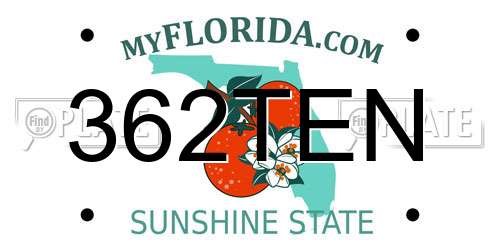 362TEN Florida License Plate