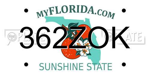 362ZOK Florida License Plate