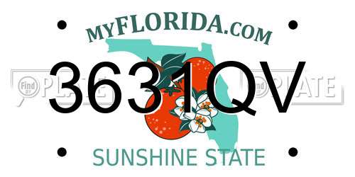 3631QV Florida License Plate