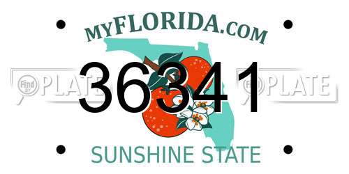 36341 Florida License Plate
