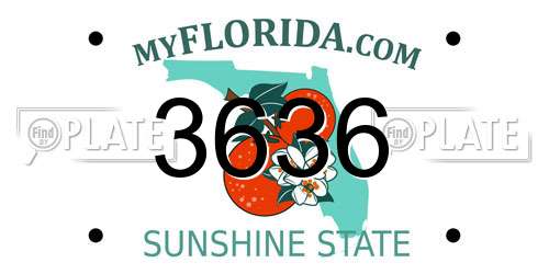 3636 Florida License Plate