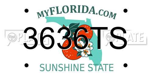 3636TS Florida License Plate