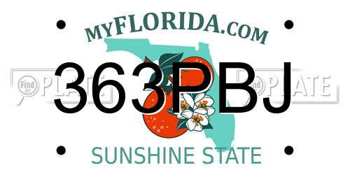 363PBJ Florida License Plate