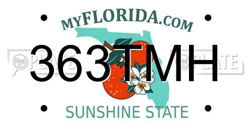 363TMH Florida License Plate