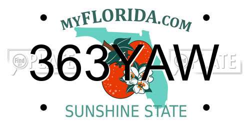 363YAW Florida License Plate