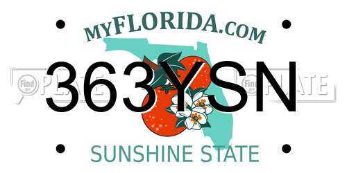 363YSN Florida License Plate