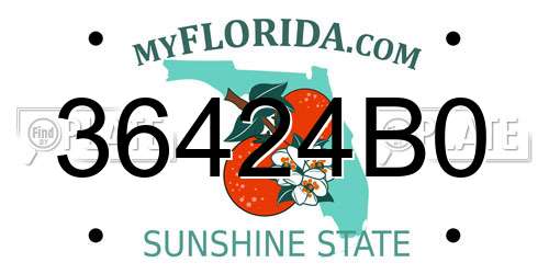 36424B0 Florida License Plate
