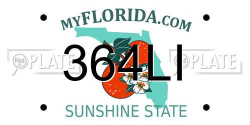 364LI Florida License Plate