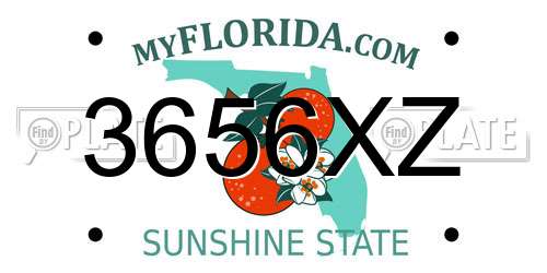 3656XZ Florida License Plate