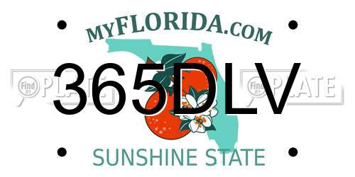 365DLV Florida License Plate