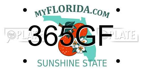 365GF Florida License Plate