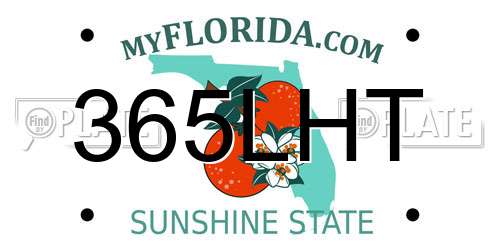365LHT Florida License Plate