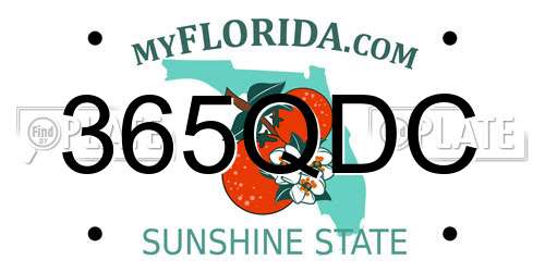 365QDC Florida License Plate