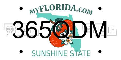 365QDM Florida License Plate