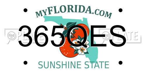 365QES Florida License Plate