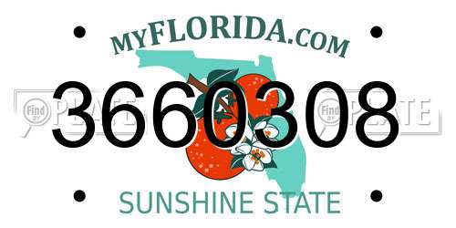 3660308 Florida License Plate