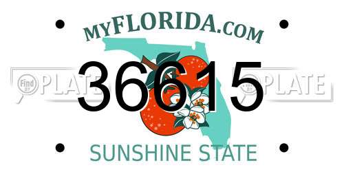 36615 Florida License Plate