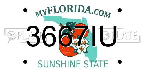 3667IU Florida License Plate