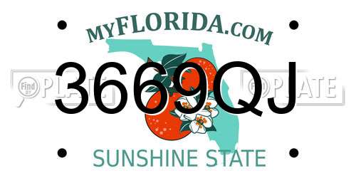 3669QJ Florida License Plate