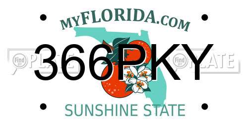 366PKY Florida License Plate