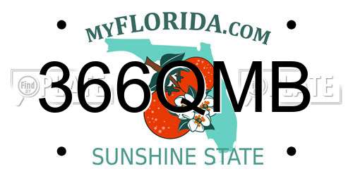 366QMB Florida License Plate