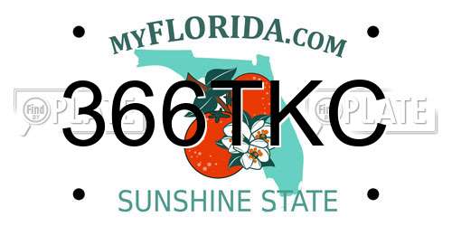 366TKC Florida License Plate