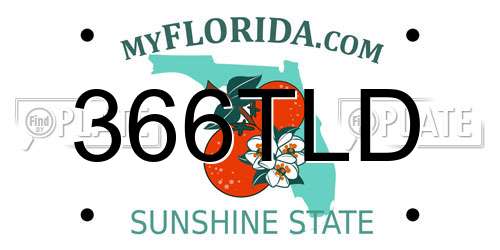 366TLD Florida License Plate