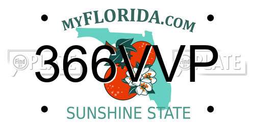 366VVP Florida License Plate