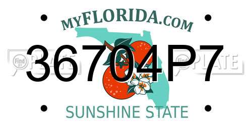 36704P7 Florida License Plate