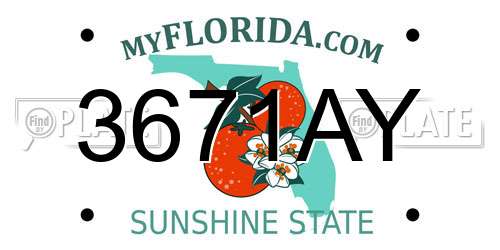 3671AY Florida License Plate