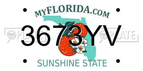 3673YV Florida License Plate