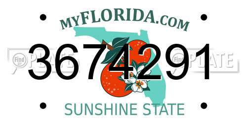 3674291 Florida License Plate
